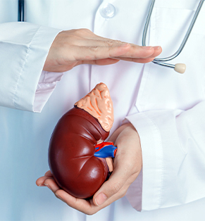 Kidney Profile